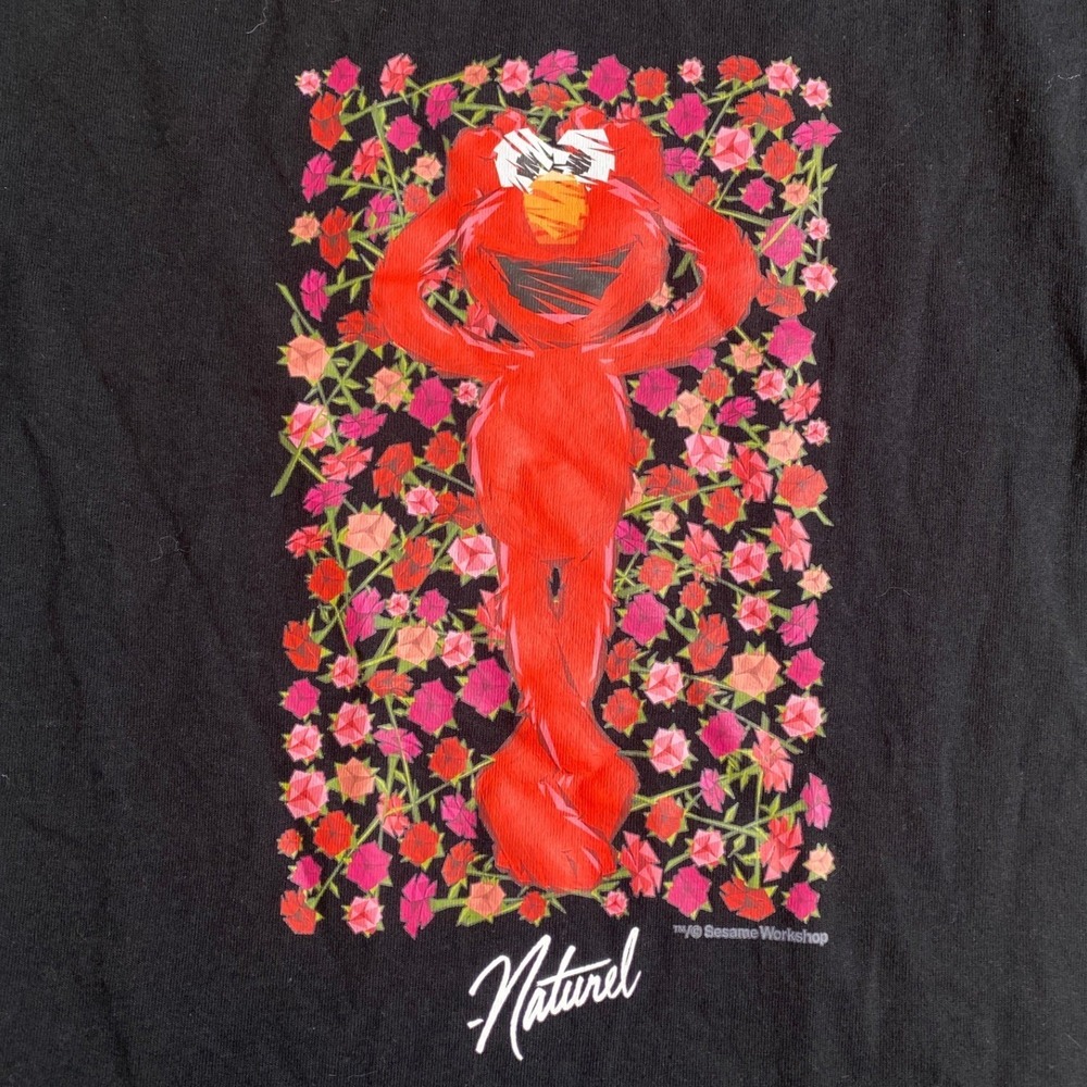 Champion Naturel Elmo Sesame Street Graphic‎ T-Shirt Mens Medium Black Cotton - Picture 2 of 8